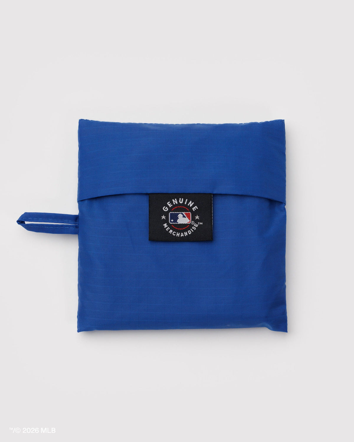 STANDARD BAGGU - US 7693