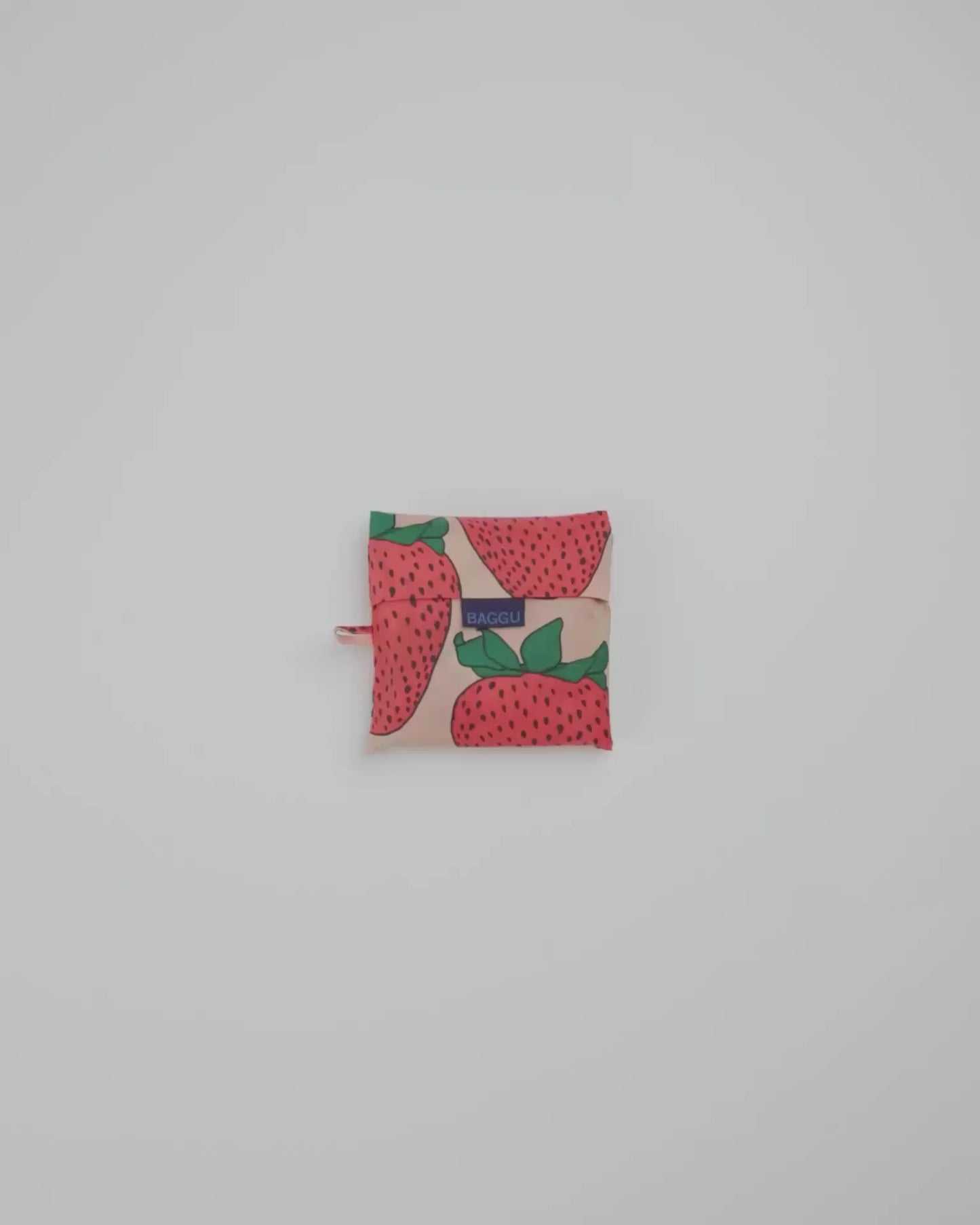 BIG BAGGU - US 0599