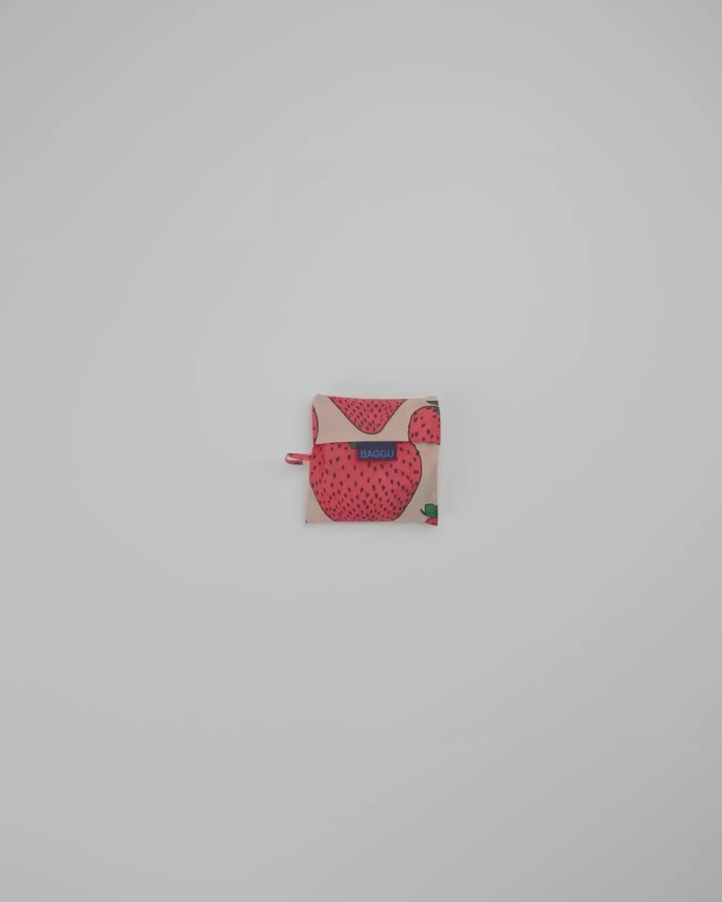STANDARD BAGGU - US 7693